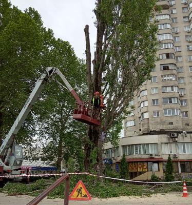 Прикрепленное изображение: Москольцо.22.05.23.рубка.2.jpg